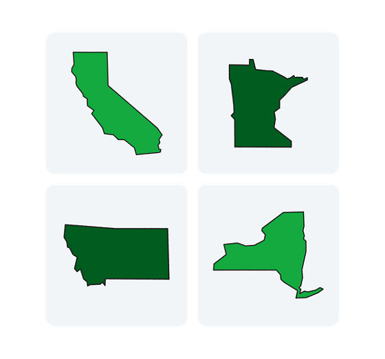 California State, Montana State, Minnesota State and New York State Outline