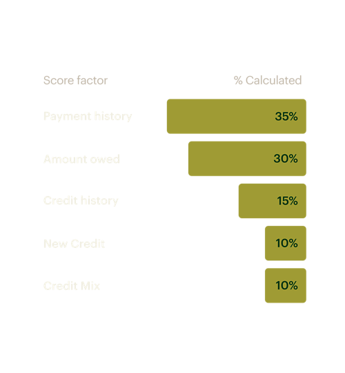 Bar chart shows calculated scores of five factors; Payment history 53%, Amount owed 30%, Credit history 15%, New credit 10% and Credit mix 10%.